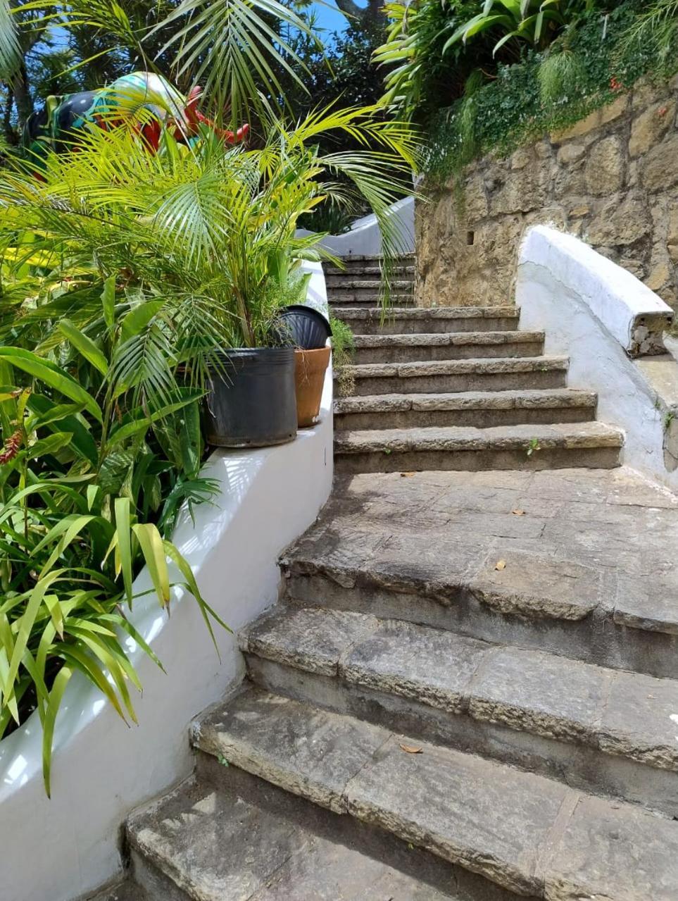 Raro Ipanema Boutique Hotel ריו דה ז'ניירו מראה חיצוני תמונה